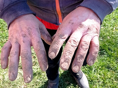 Žene na selu obavljaju teške poslove, foto: Goca Glišić
