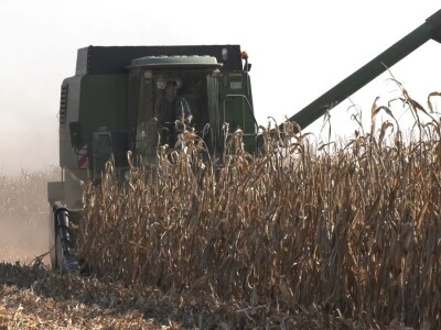 Ruma  Pioneer Ruma  Pioneer