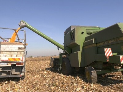 Ruma  Pioneer Ruma  Pioneer