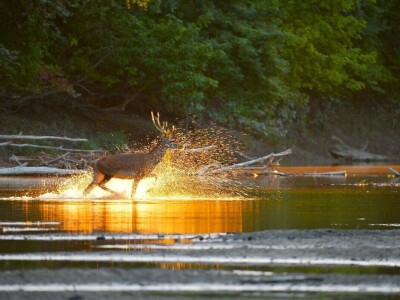 RuralFoto 2025 - TOP 10 fotografija u kategoriji #Priroda