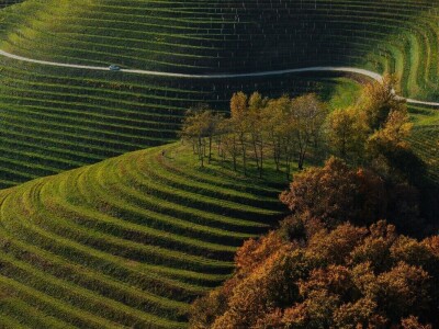 RuralFoto 2025 - TOP 10 fotografija u kategoriji #Priroda