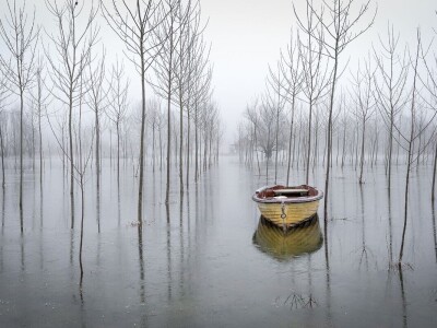 RuralFoto 2025 - TOP 10 fotografija u kategoriji #Priroda
