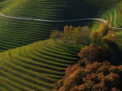 RuralFoto 2025 - TOP 10 fotografija u kategoriji #Priroda