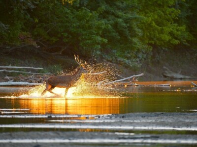 RuralFoto 2025 - TOP 10 fotografija u kategoriji #Priroda