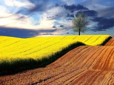 RuralFoto 2025 - TOP 10 fotografija u kategoriji #Priroda