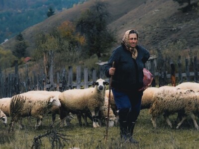 RuralFoto 2025 - TOP 10 fotografija u kategoriji #Selo