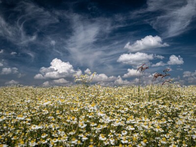 RuralFoto: Najboljih 10 #Priroda RuralFoto: Najboljih 10 #Priroda