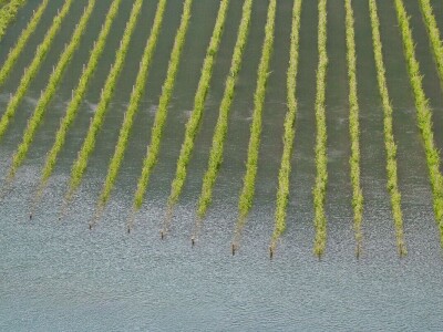 RuralFoto: Najboljih 10 #Priroda RuralFoto: Najboljih 10 #Priroda