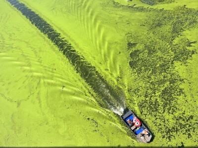 RuralFoto: Najboljih 10 #Priroda RuralFoto: Najboljih 10 #Priroda