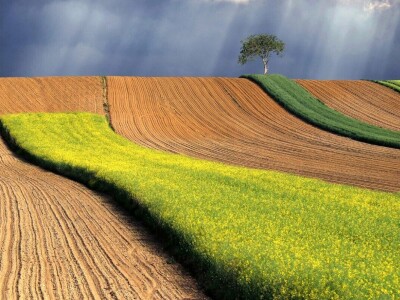 RuralFoto: Najboljih 10 #Priroda RuralFoto: Najboljih 10 #Priroda