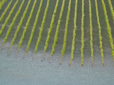 RuralFoto: Najboljih 10 #Priroda RuralFoto: Najboljih 10 #Priroda