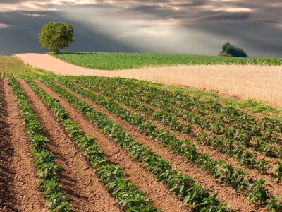 RuralFoto: Najboljih 10 #Proizvodnja RuralFoto: Najboljih 10 #Proizvodnja