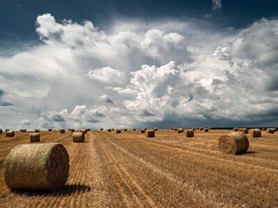 RuralFoto: Najboljih 10 #Proizvodnja RuralFoto: Najboljih 10 #Proizvodnja