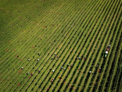 RuralFoto: Najboljih 10 #Proizvodnja
