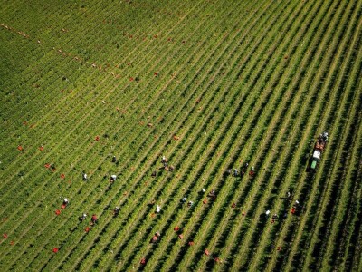 RuralFoto: Najboljih 10 #Proizvodnja RuralFoto: Najboljih 10 #Proizvodnja