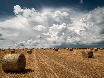 RuralFoto: Najboljih 10 #Proizvodnja