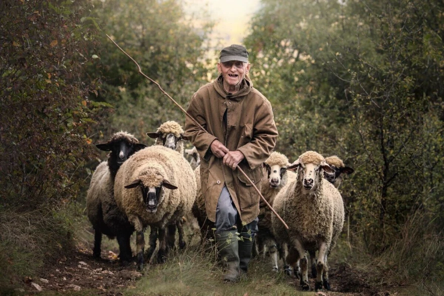 Pobednička fotografija RuralFoto 