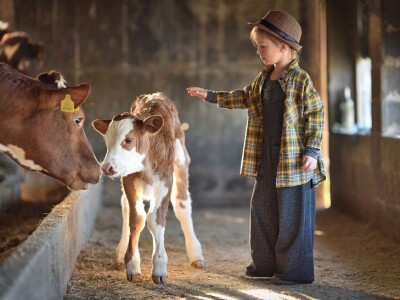 RuralFoto: Najboljih 10 #Životinje
