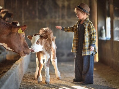 RuralFoto: Najboljih 10 #Životinje RuralFoto: Najboljih 10 #Životinje