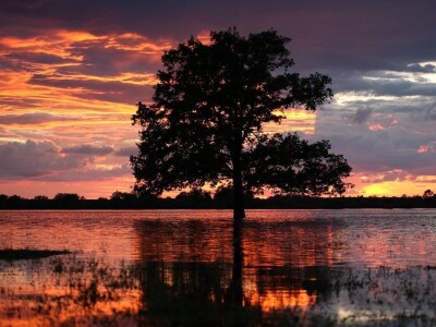 RuralFoto TOP 10 #Priroda