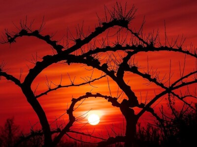 RuralFoto TOP 10 #Priroda RuralFoto TOP 10 #Priroda