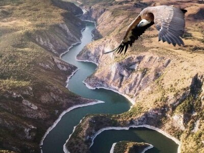 RuralFoto TOP 10 priroda