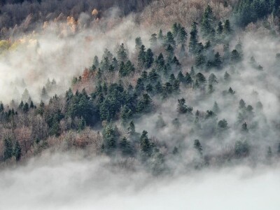 RuralFoto TOP 10 #Priroda RuralFoto TOP 10 #Priroda