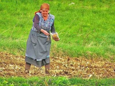 RuralFoto TOP 10 #Proizvodnja RuralFoto TOP 10 #Proizvodnja