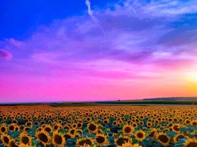 RuralFoto TOP 10 #Proizvodnja