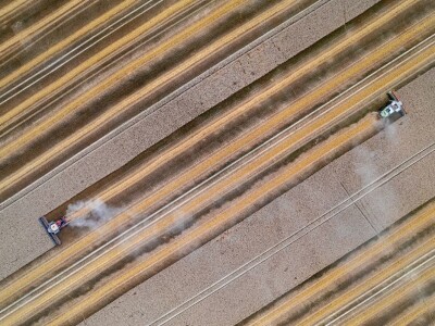 RuralFoto TOP 10 proizvodnja