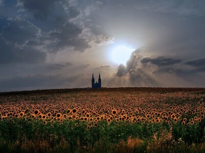 RuralFoto TOP 10 #Proizvodnja