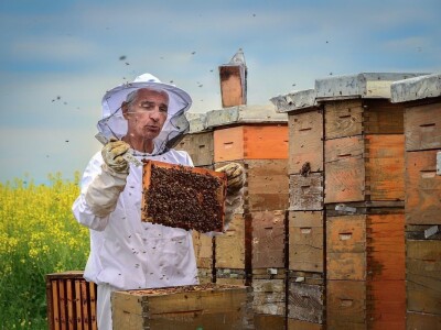 RuralFoto TOP 10 #Proizvodnja