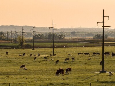 RuralFoto TOP 10 #Selo RuralFoto TOP 10 #Selo