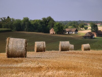 RuralFoto TOP 10 #Selo