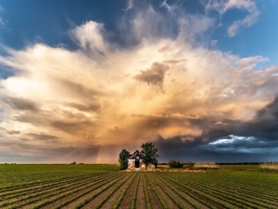 RuralFoto TOP 10 #Selo