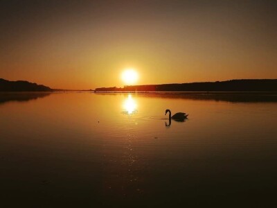 RuralFoto TOP 10 #Životinje