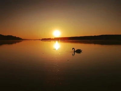 RuralFoto TOP 10 životinje