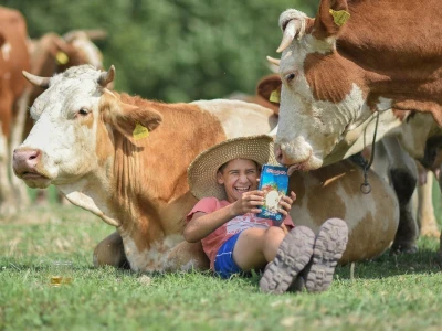 RuralFoto TOP 10 životinje