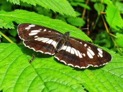 Ruralni turizam Kod Josipa Ruralni turizam Kod Josipa