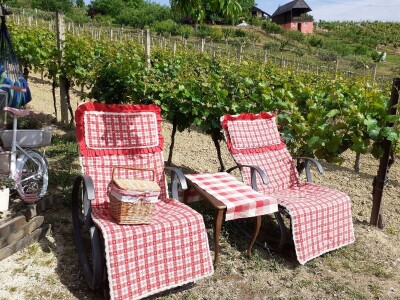 Ruža Zagrabčke županije