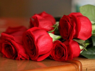 Ruža Zagrabčke županije