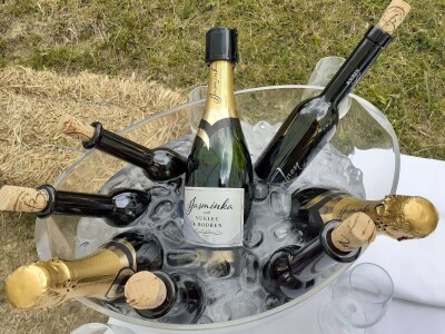 Ruža Zagrabčke županije