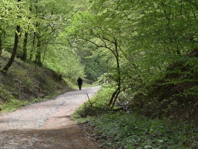 Ružica grad na obroncima Papuka