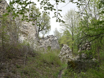 Ružica grad na obroncima Papuka