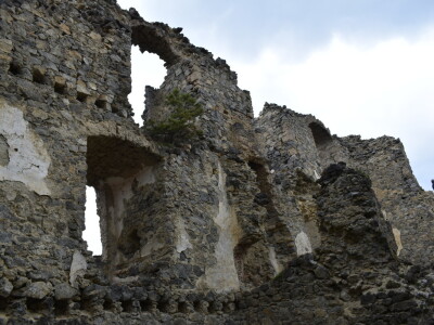 Ružica grad na obroncima Papuka