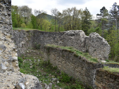 Ružica grad na obroncima Papuka