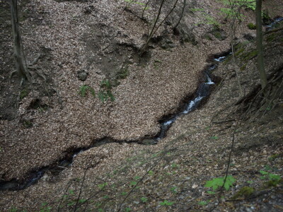 Ružica grad na obroncima Papuka
