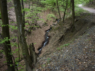 Ružica grad na obroncima Papuka