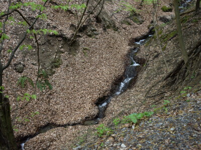 Ružica grad na obroncima Papuka