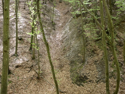 Ružica grad na obroncima Papuka